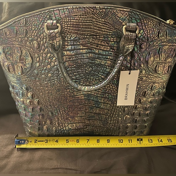 Mother of pearl Brahmin - Picture 5 of 8